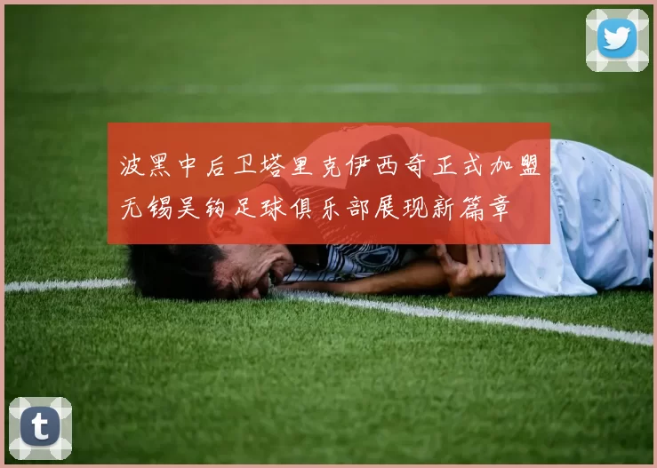 波黑中后卫塔里克伊西奇正式加盟无锡吴钩足球俱乐部展现新篇章