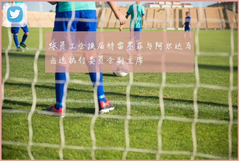 球员工会换届特雷墨菲与阿尔达马当选执行委员会副主席